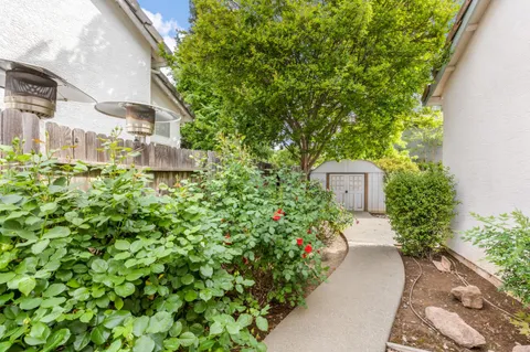 a view of a back yard with flower plants