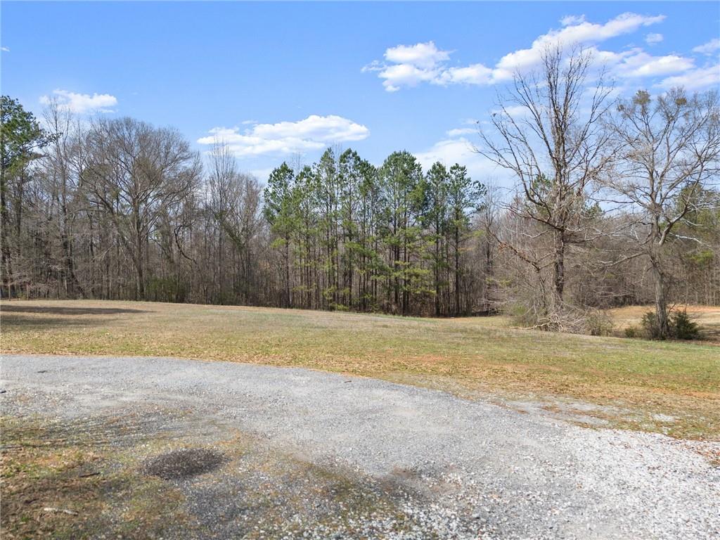 662 Maley Road Jefferson, GA 30549 - Photo 39 of 43 a view of a yard