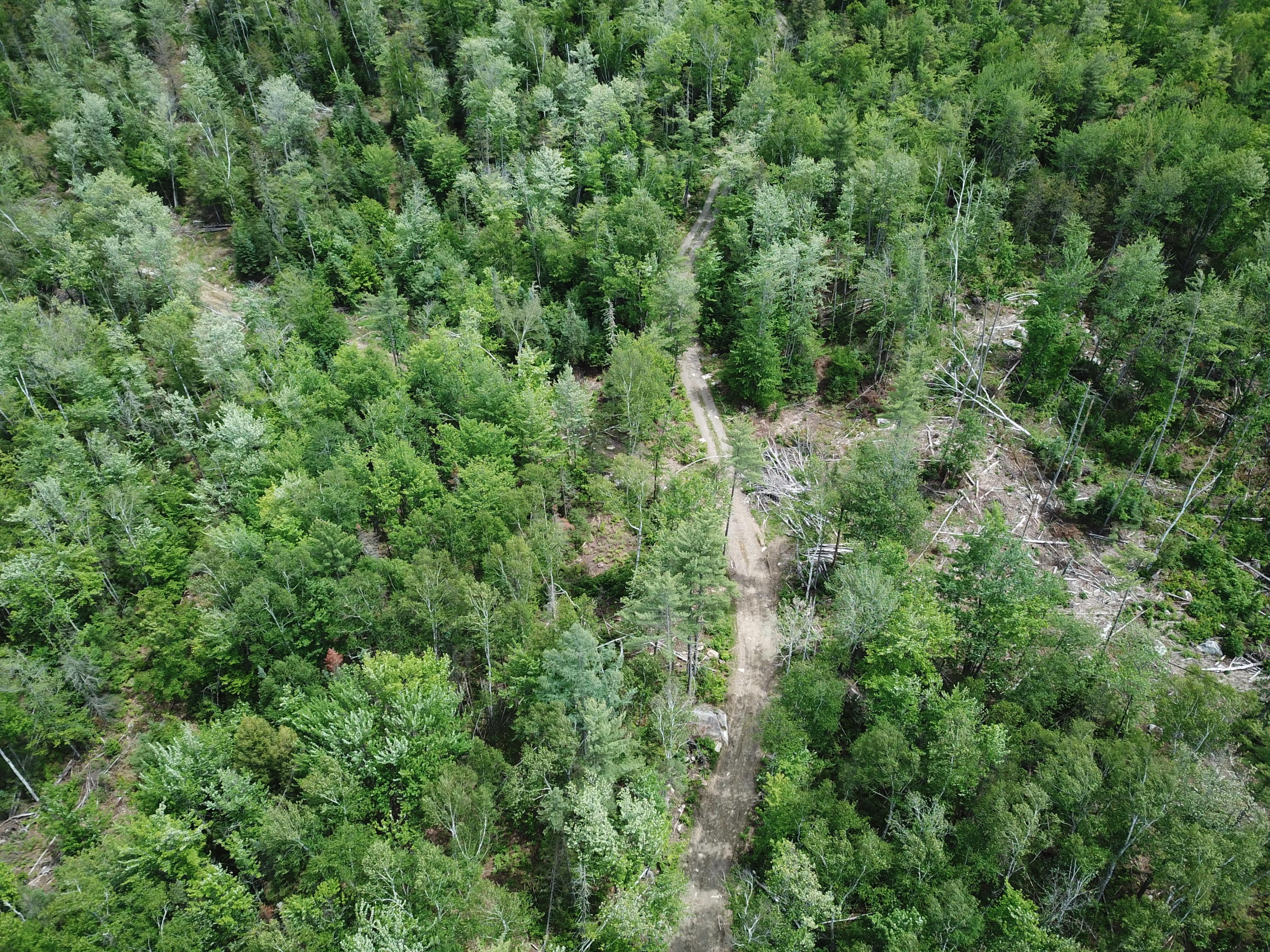 Mr10-l21 River Road Avon, ME 04966 - Photo 22 of 39 DJI_0531