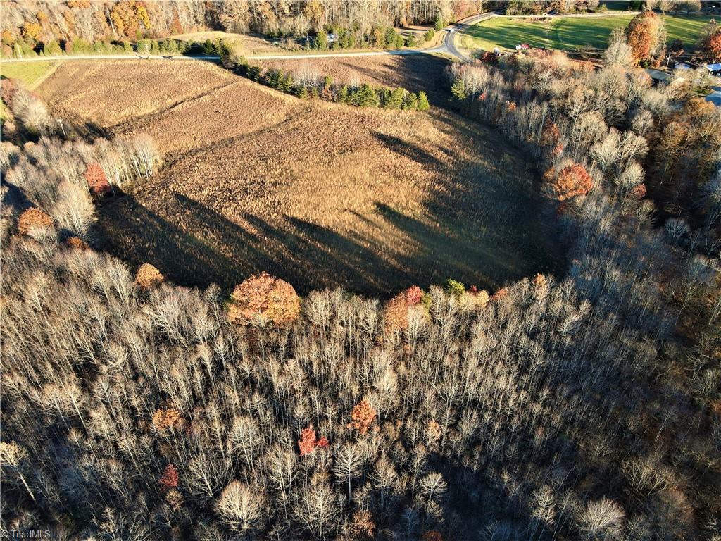 0 Huffines Mill Road Reidsville, NC 27320 - Photo 3 of 11