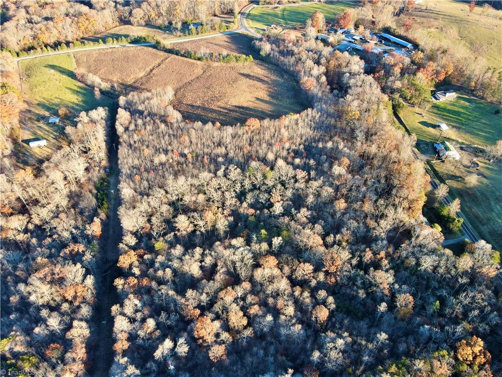 0 Huffines Mill Road Reidsville, NC 27320 - Photo 4 of 11