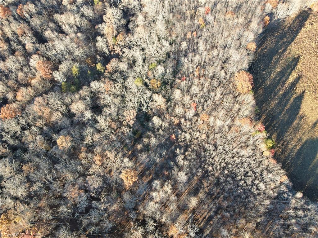0 Huffines Mill Road Reidsville, NC 27320 - Photo 8 of 11