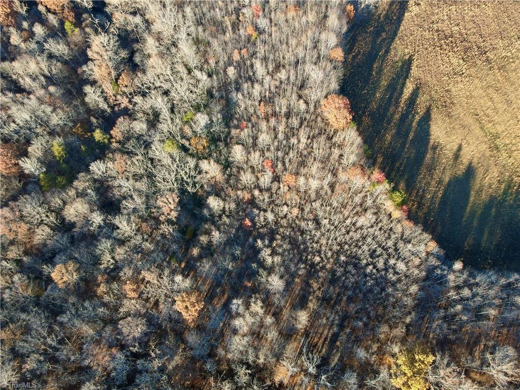 0 Huffines Mill Road Reidsville, NC 27320 - Photo 9 of 11