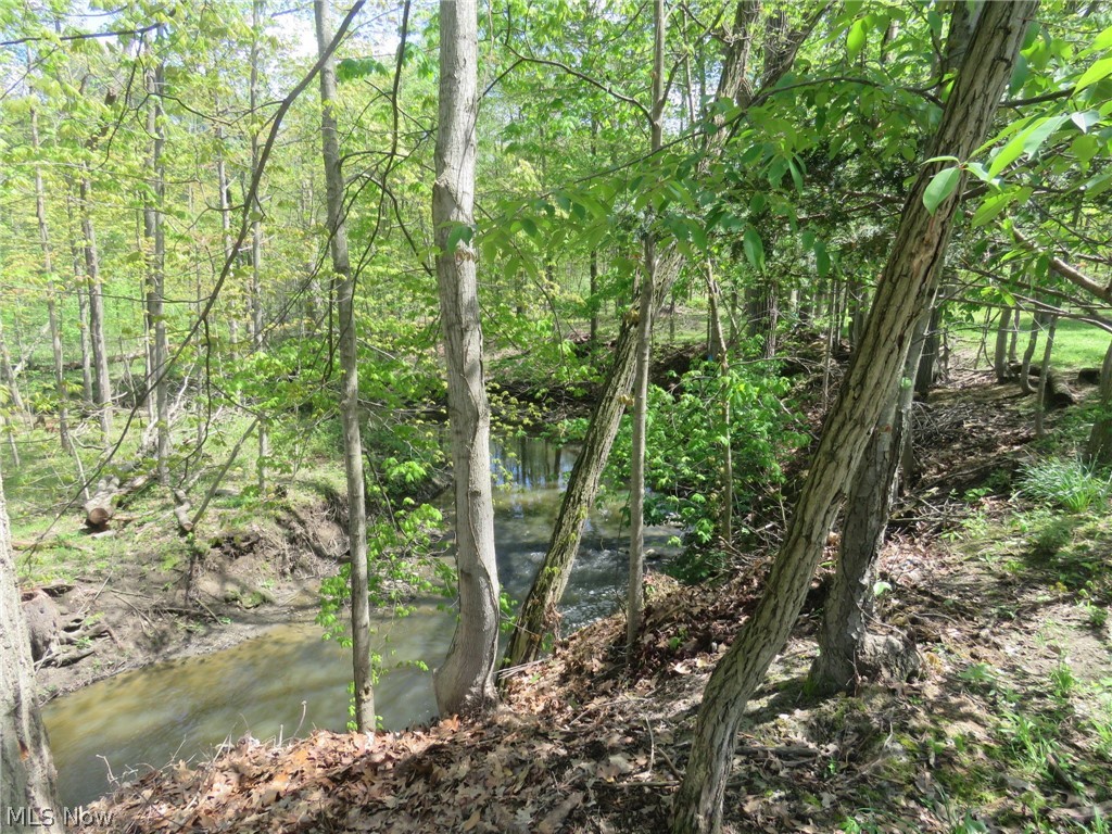 6745 Case Road North Ridgeville, OH 44039 - Photo 20 of 23