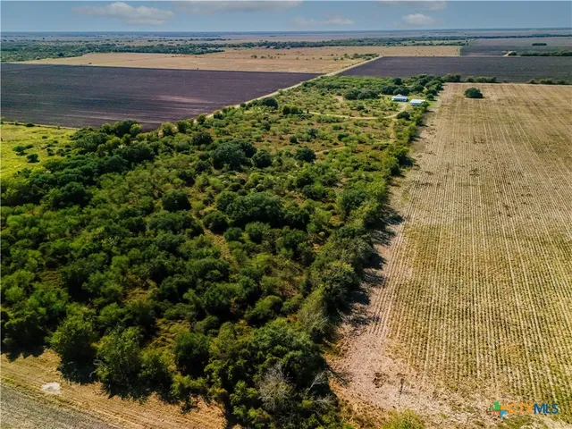 a view of a garden with a bench