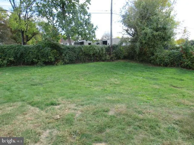 a view of a garden with a tree