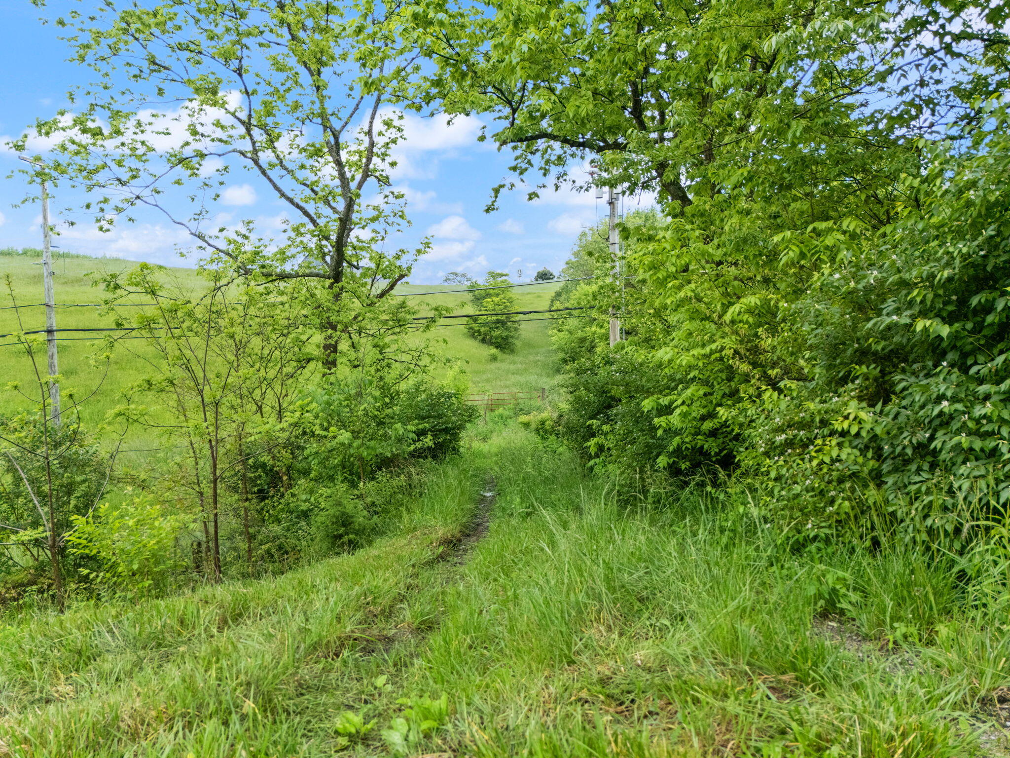 9999 Lancaster Road Richmond, KY 40475 - Photo 20 of 35 13-web-or-mls-DJI_20250513164936_0556_D
