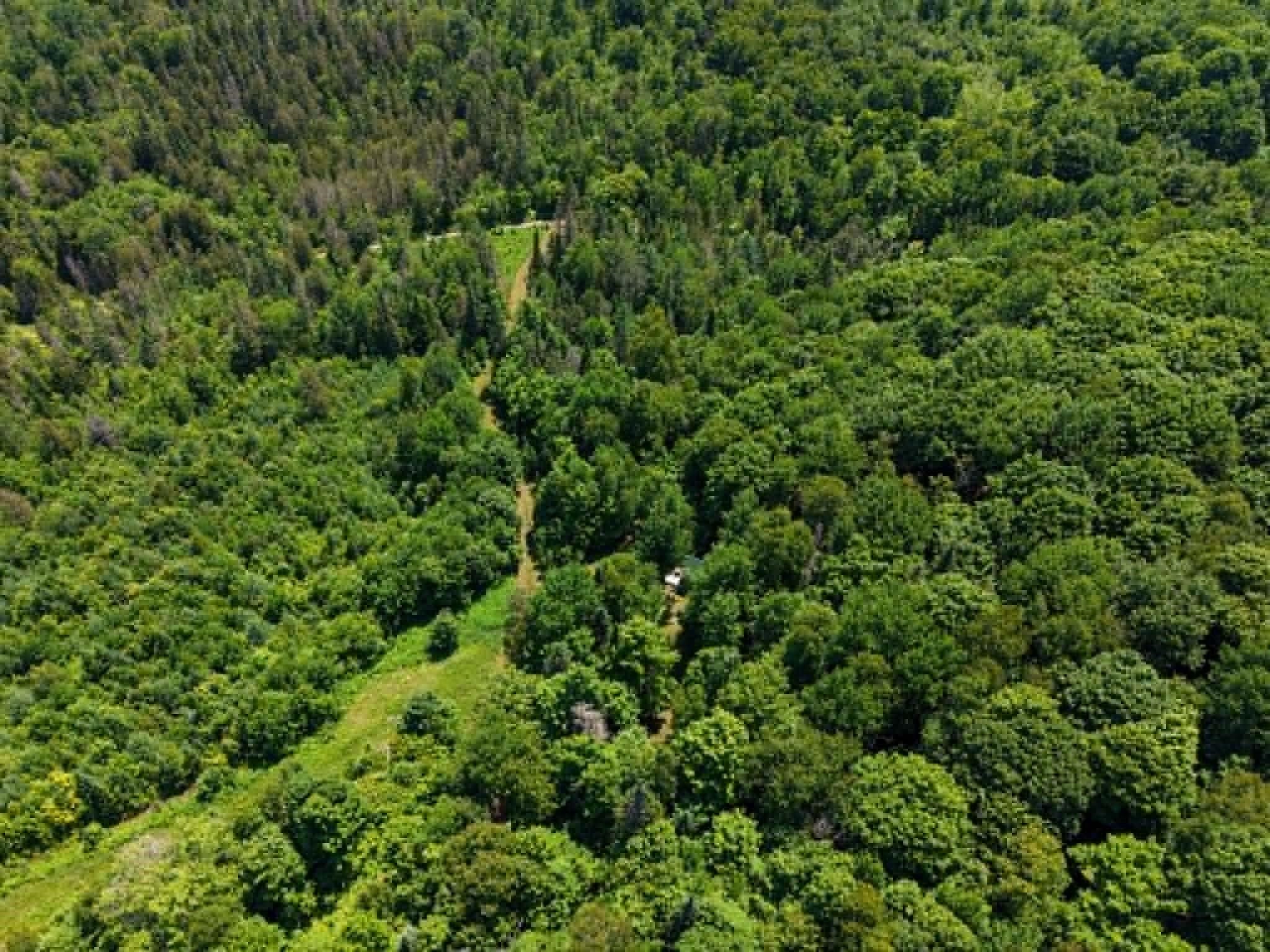 801 Red Schoolhouse Road Wheelock, VT 05851 - Photo 9 of 11