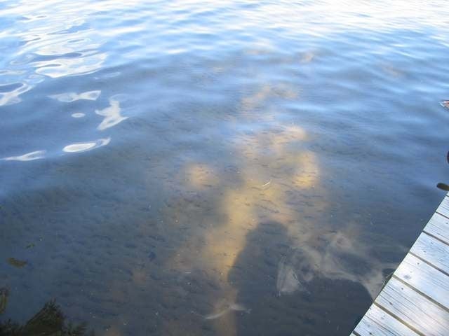 9484 Country Club Road, Unit 5 Minocqua, WI 54548 - Photo 18 of 20 Gallery Image 18