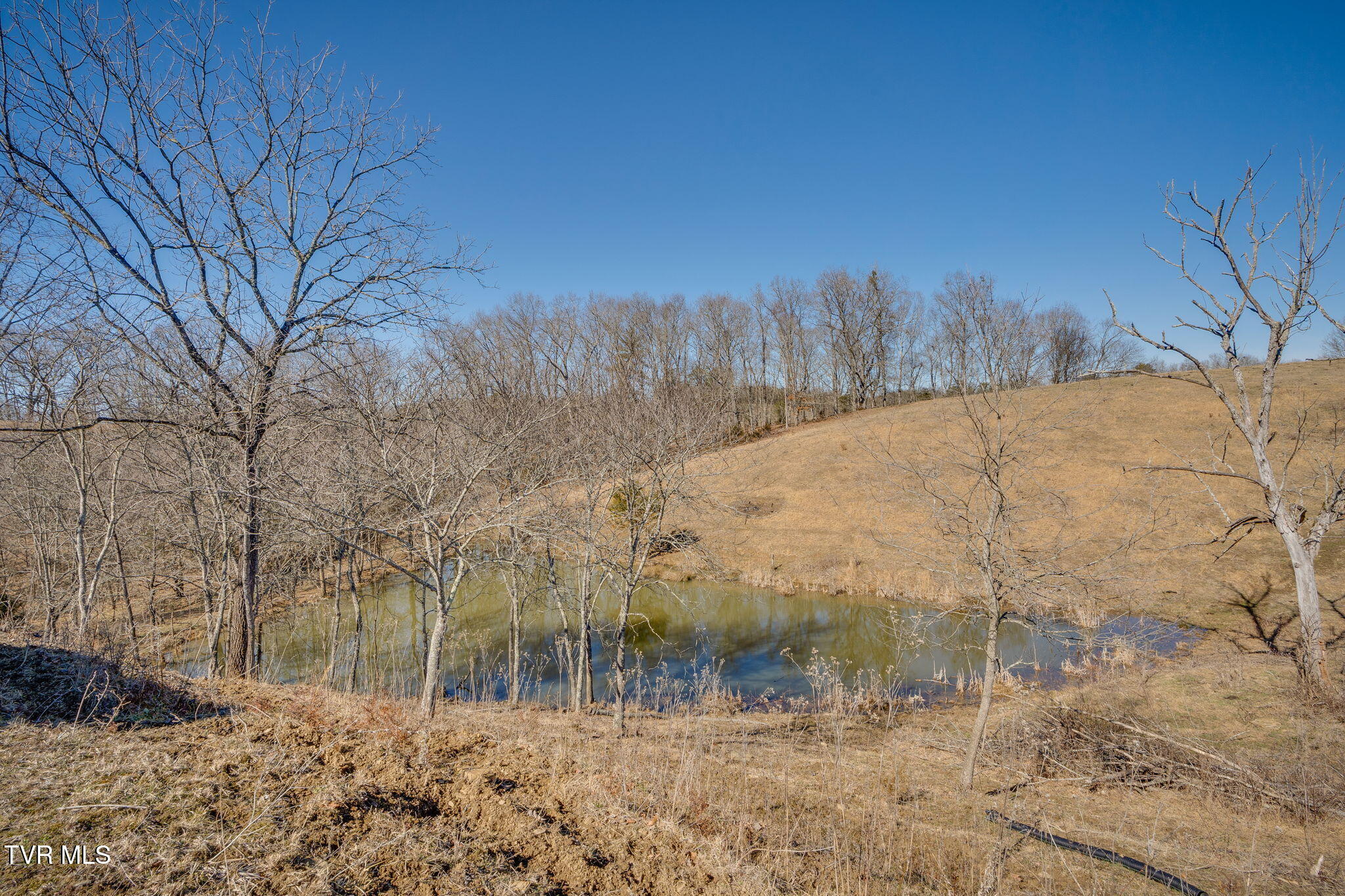 2269 Valleydale Road Mosheim, TN 37818 - Photo 36 of 42 035