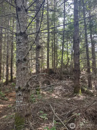 $405,000 | 0 Hansen Road, Port Angeles, WA 98363
