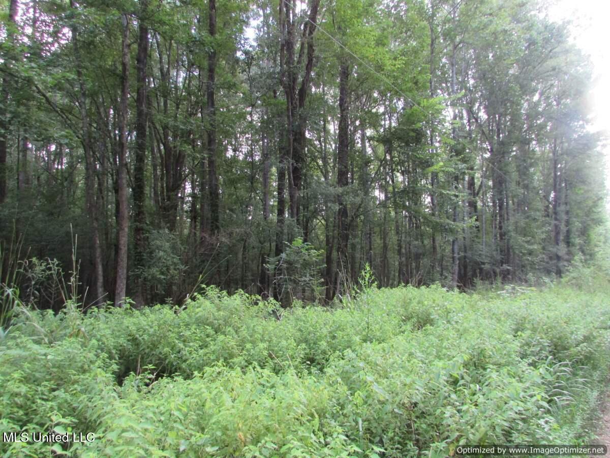 Smith Avenue Rd Road Carthage, MS 39051 - Photo 12 of 17 IMG_0013