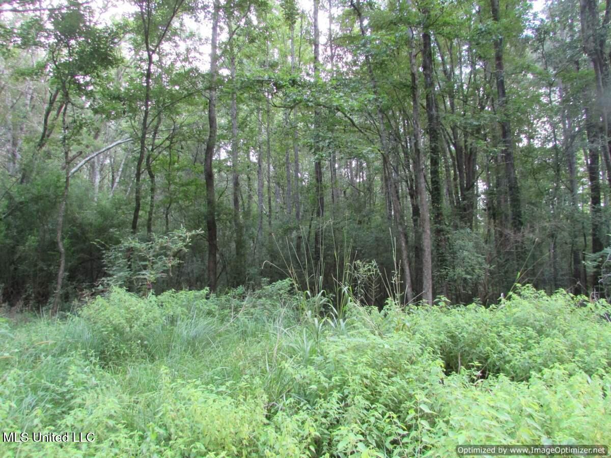 Smith Avenue Rd Road Carthage, MS 39051 - Photo 13 of 17 IMG_0014