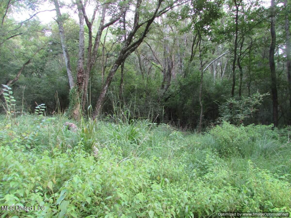 Smith Avenue Rd Road Carthage, MS 39051 - Photo 14 of 17 IMG_0015