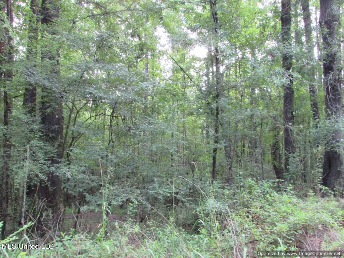 Smith Avenue Rd Road Carthage, MS 39051 - Photo 16 of 17 IMG_0017