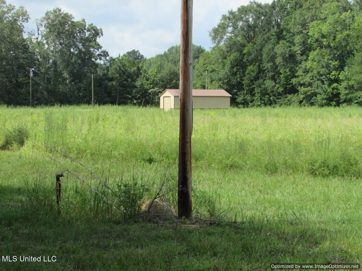 Smith Avenue Rd Road Carthage, MS 39051 - Photo 2 of 17 IMG_0002