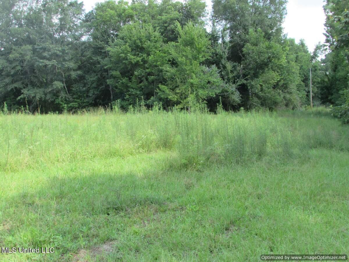 Smith Avenue Rd Road Carthage, MS 39051 - Photo 3 of 17 IMG_0003