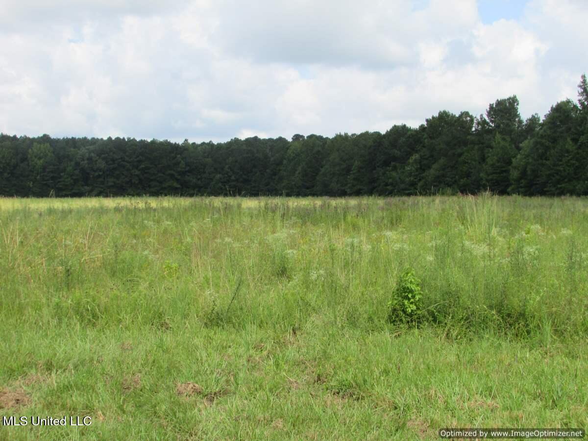 Smith Avenue Rd Road Carthage, MS 39051 - Photo 4 of 17 IMG_0004