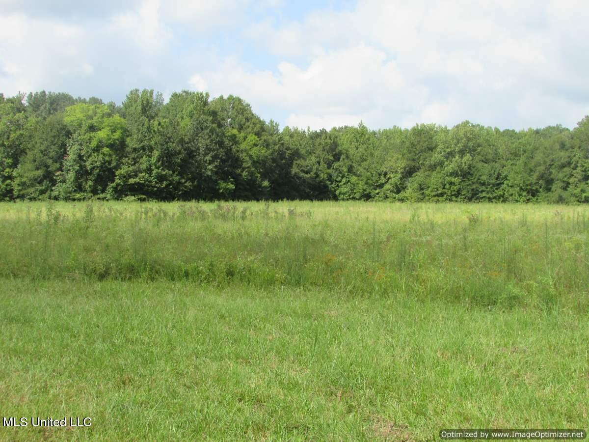 Smith Avenue Rd Road Carthage, MS 39051 - Photo 5 of 17 IMG_0005
