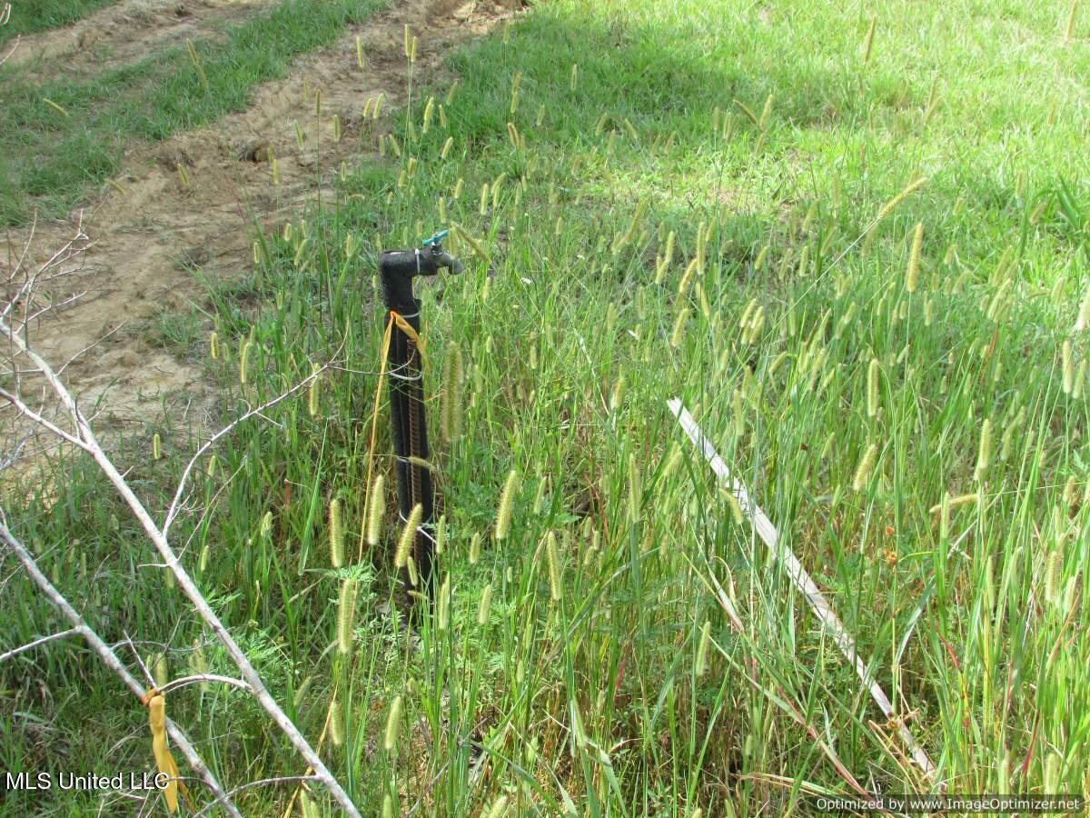 Smith Avenue Rd Road Carthage, MS 39051 - Photo 6 of 17 IMG_0006