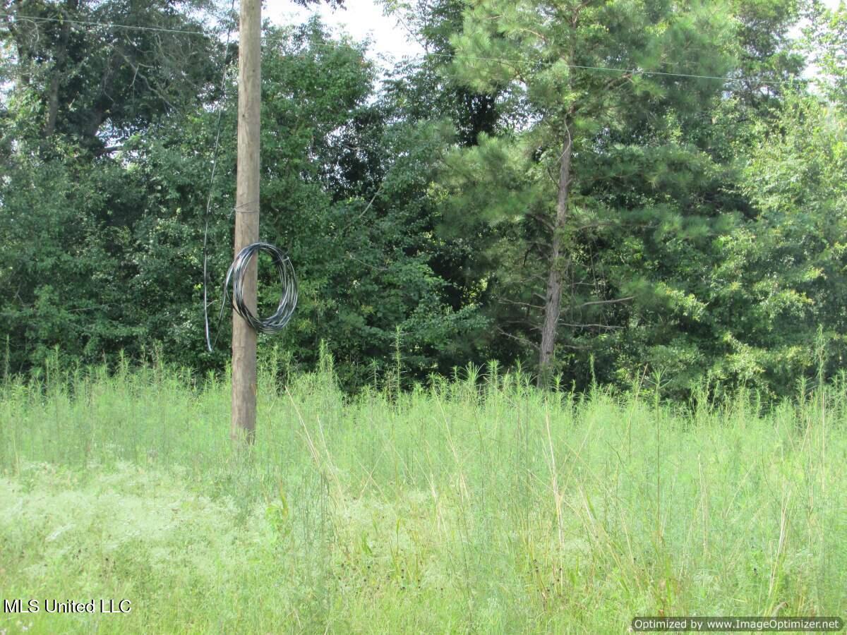Smith Avenue Rd Road Carthage, MS 39051 - Photo 8 of 17 IMG_0008