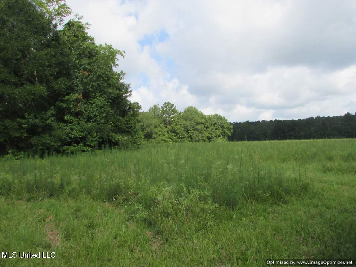 Smith Avenue Rd Road Carthage, MS 39051 - Photo 10 of 17 IMG_0010