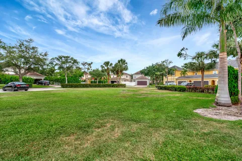 a view of a big yard with plants and large trees