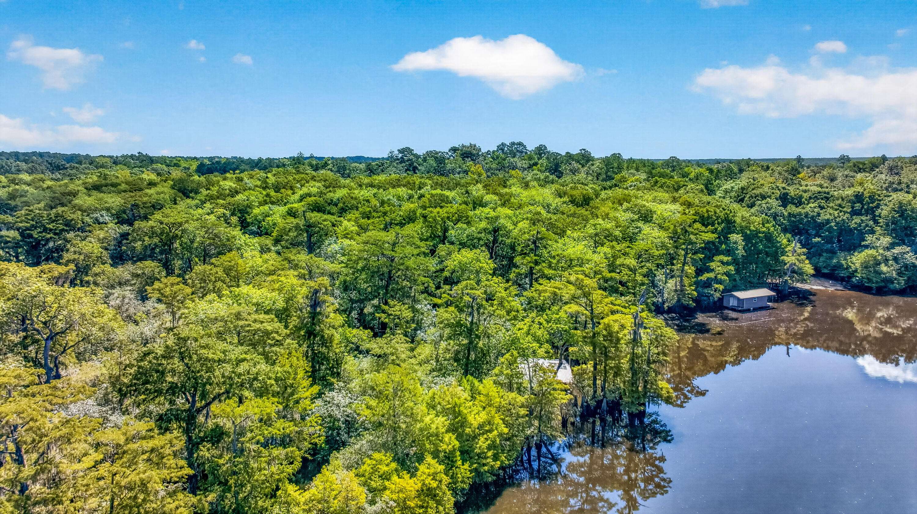 19-acres Potter Spring Road Vernon, FL 32462 - Photo 22 of 28 DJI_0224