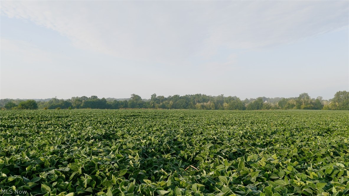 North Kohler Road Orrville, OH 44667 - Photo 1 of 20 Gallery Image 1