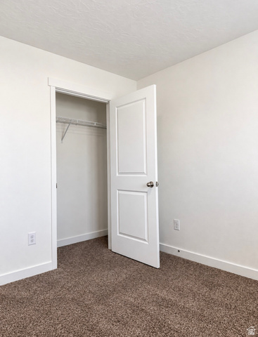 1140 Summit Ridge Parkway Santaquin, UT 84655 - Photo 15 of 29 Large closet in bedroom 1