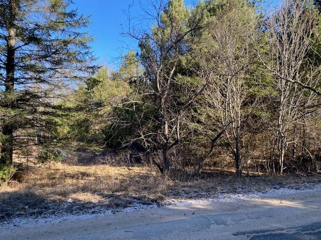 0 Wilson Road Saranac, NY 12981 - Photo 1 of 5 Gallery Image 1