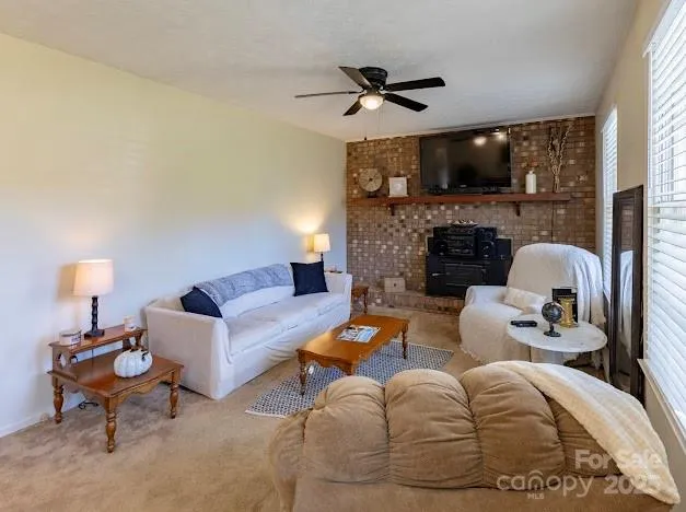 a living room with furniture potted plant and a window