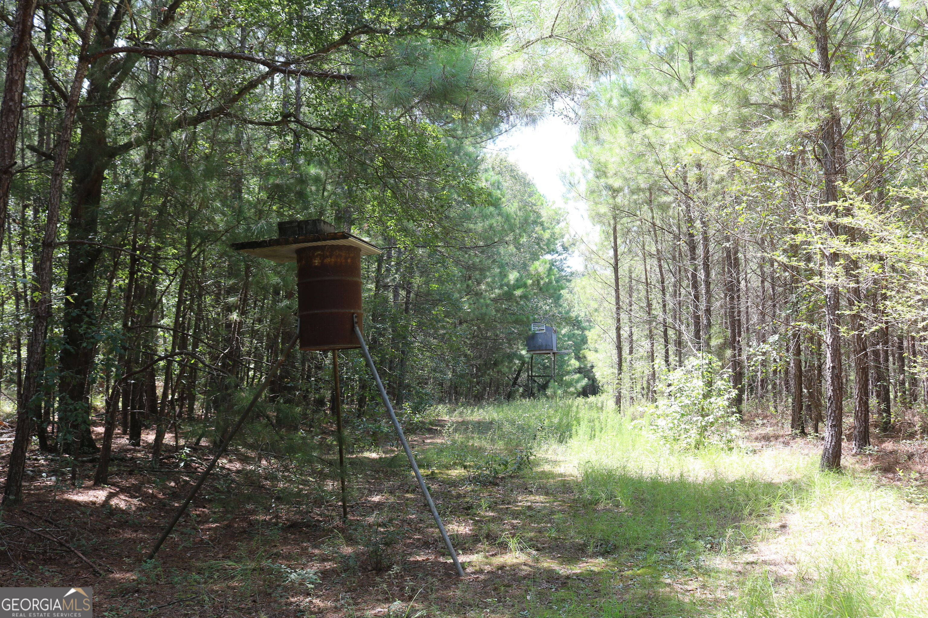 0 Barentine Road Rochelle, GA 31079 - Photo 25 of 38 Gallery Image 25