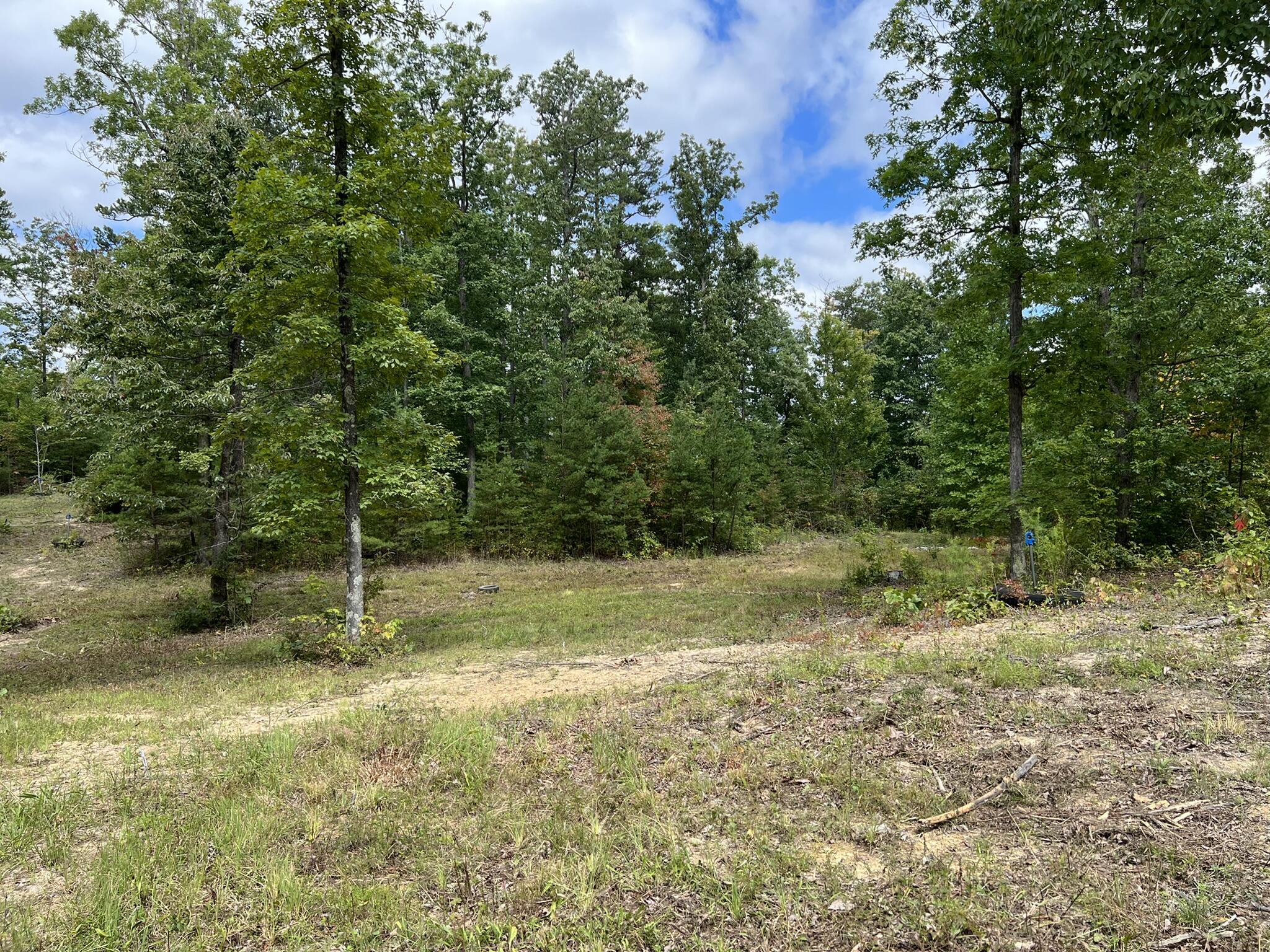 4780 Skullbone Tower Road Stearns, KY 42647 - Photo 10 of 25 1CED8164-0B02-43AD-B27D-06DBE0D6BE1A