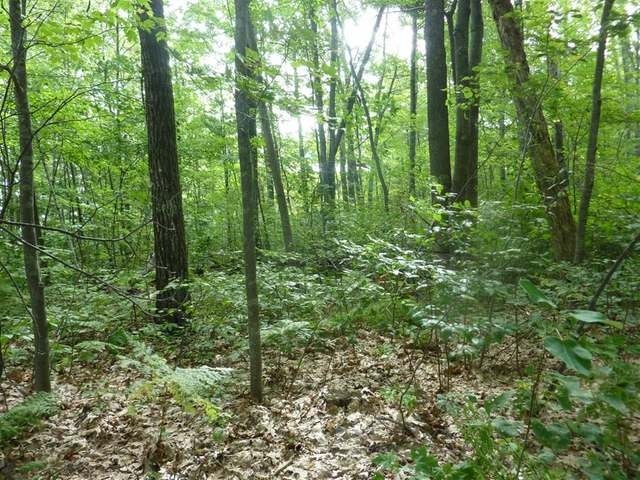 Lot 11 Thorofare Road Minocqua, WI 54548 - Photo 15 of 15 Gallery Image 15