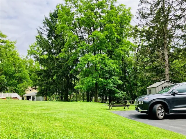 a green field with lots of trees