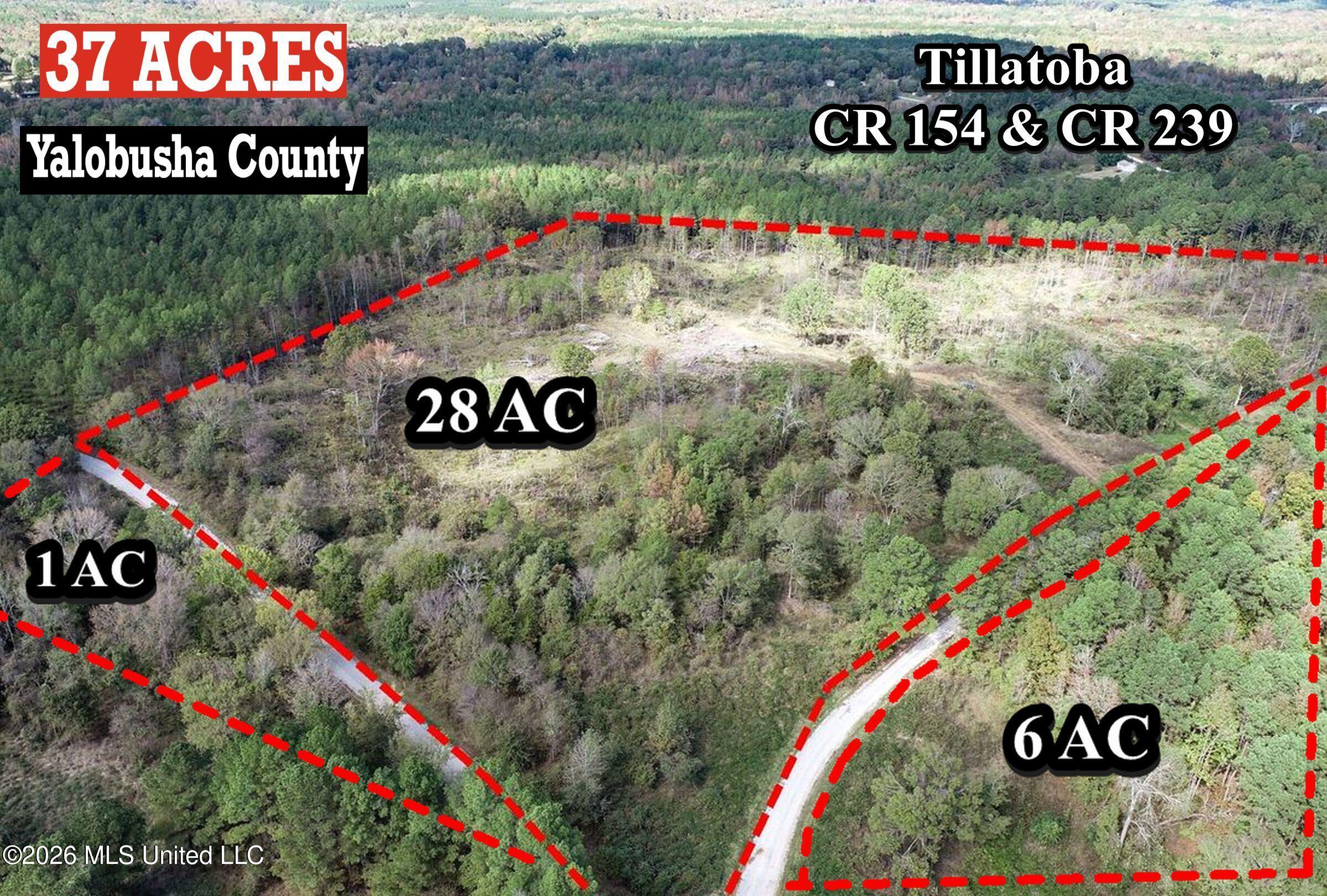 154 County Road Tillatoba, MS 38961 - Photo 2 of 58 1akgrdn51bb