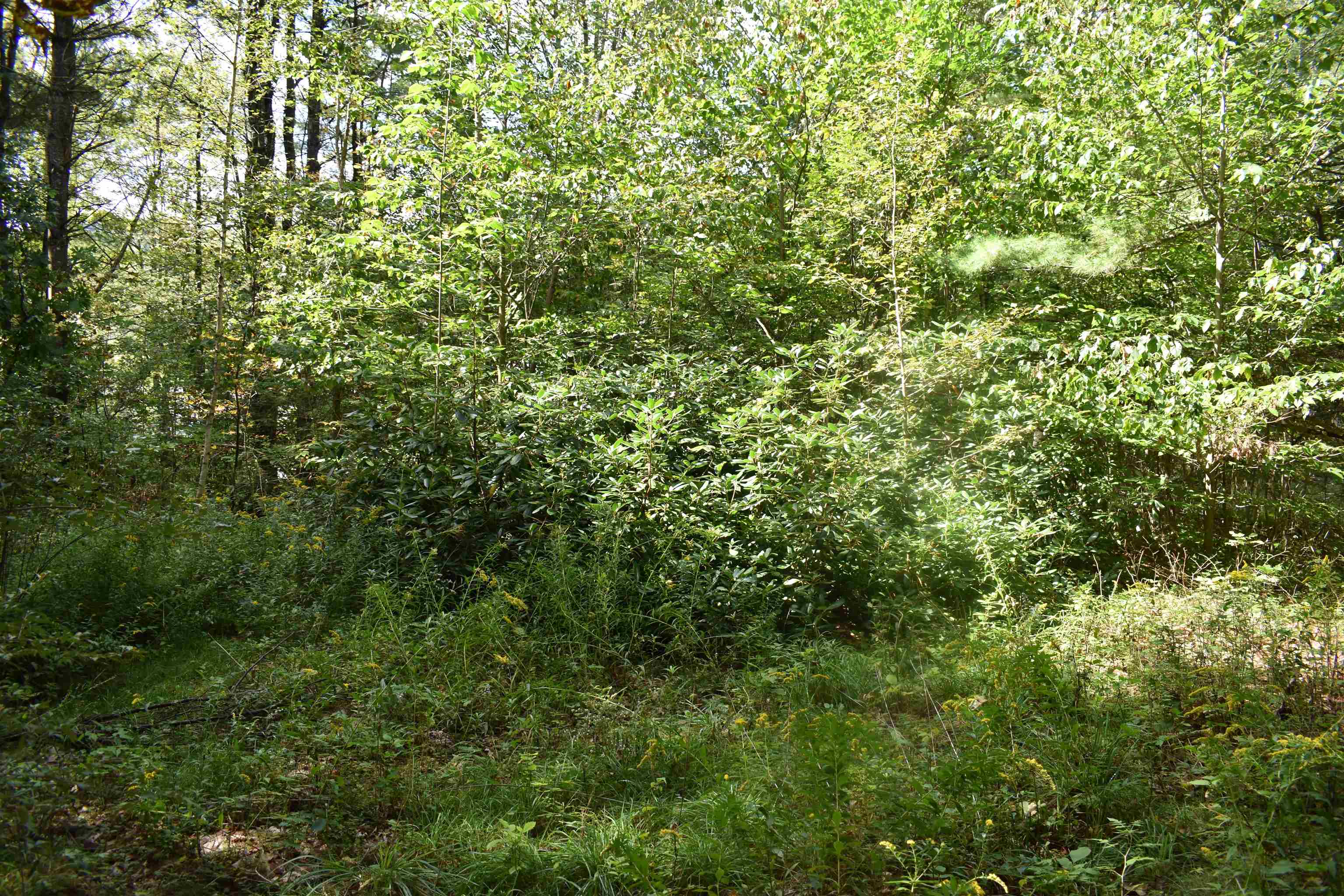 21 Bonner Road Plainfield, NH 03770 - Photo 36 of 39