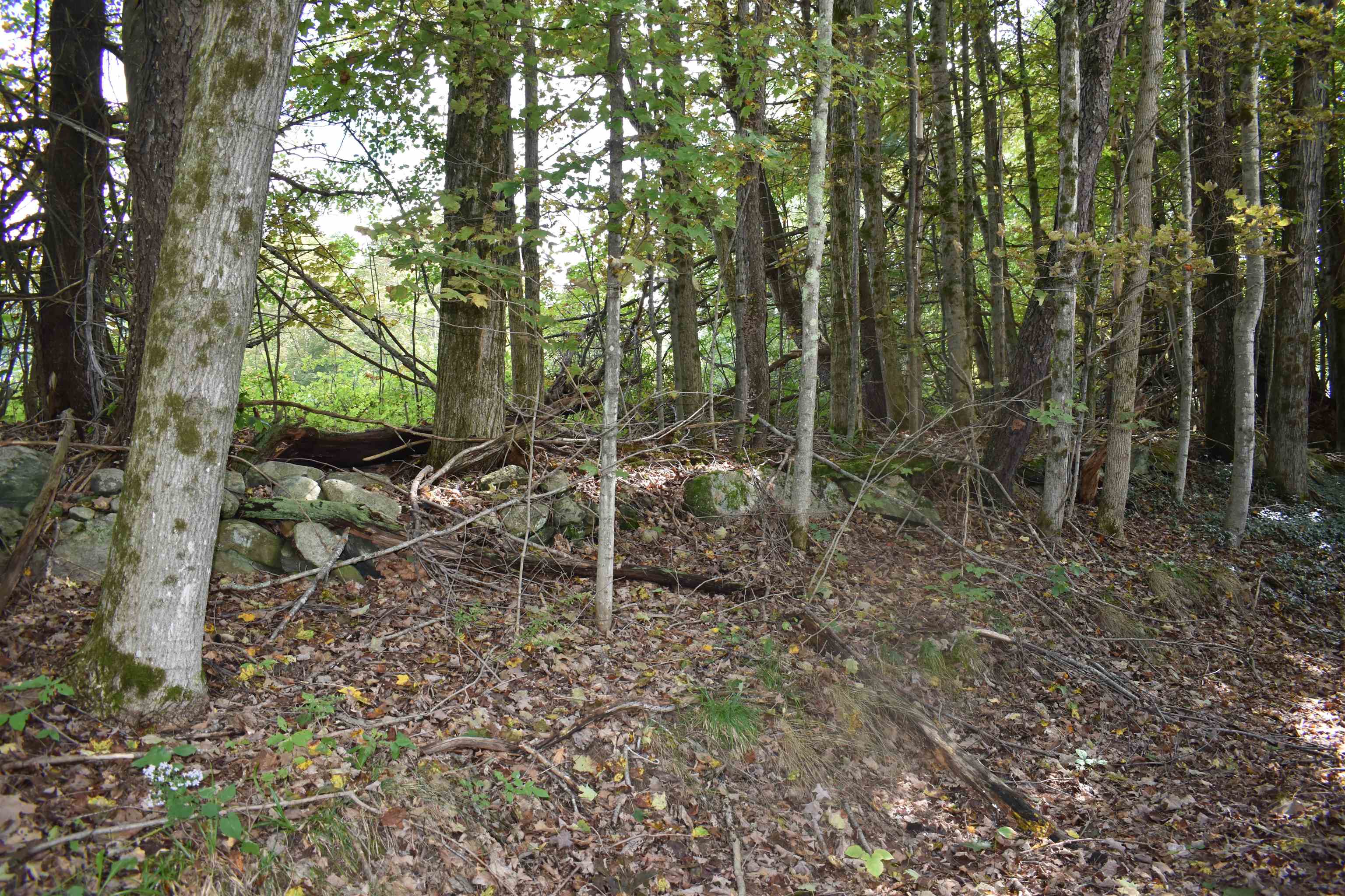 21 Bonner Road Plainfield, NH 03770 - Photo 38 of 39