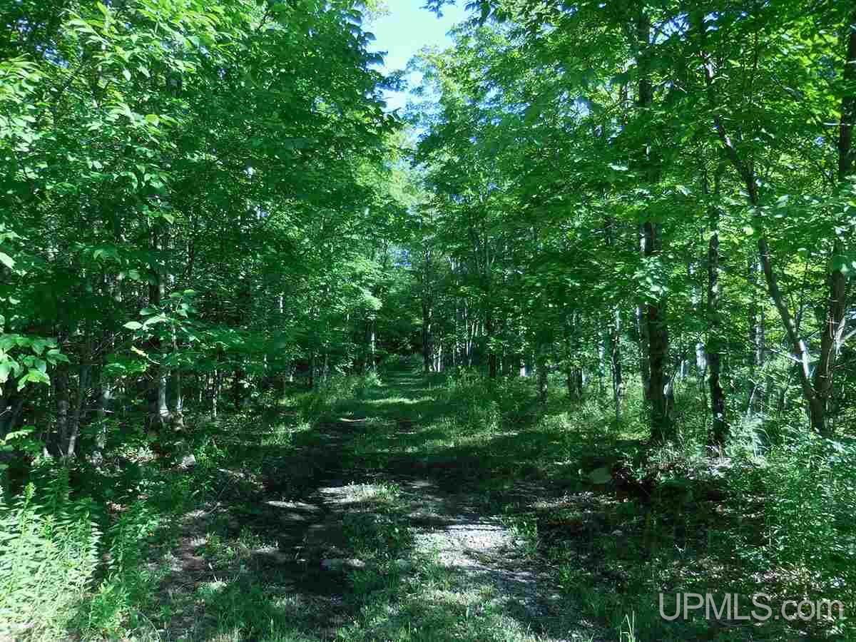 11284 West Quarry Road, Unit PARCEL 4 Gulliver, MI 49840 - Photo 27 of 27 Gallery Image 27