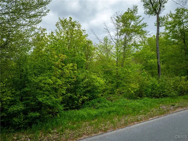 $16,000 | Lot 32 Wheelertown Road, Remsen, NY 13438