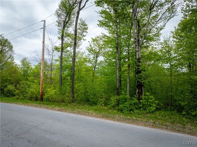 $16,000 | Lot 32 Wheelertown Road, Remsen, NY 13438