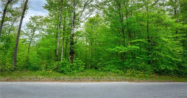 $16,000 | Lot 32 Wheelertown Road, Remsen, NY 13438