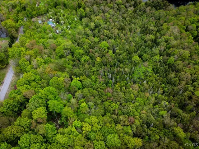 $16,000 | Lot 32 Wheelertown Road, Remsen, NY 13438