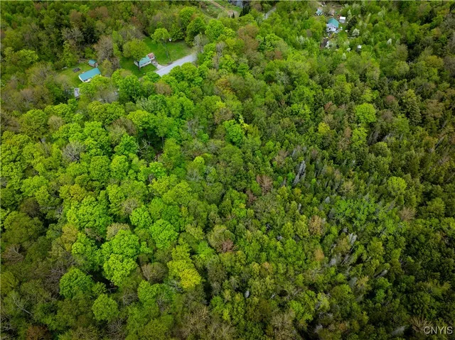 $16,000 | Lot 32 Wheelertown Road, Remsen, NY 13438