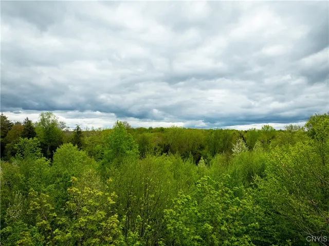 $16,000 | Lot 32 Wheelertown Road, Remsen, NY 13438