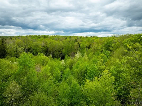 $16,000 | Lot 32 Wheelertown Road, Remsen, NY 13438