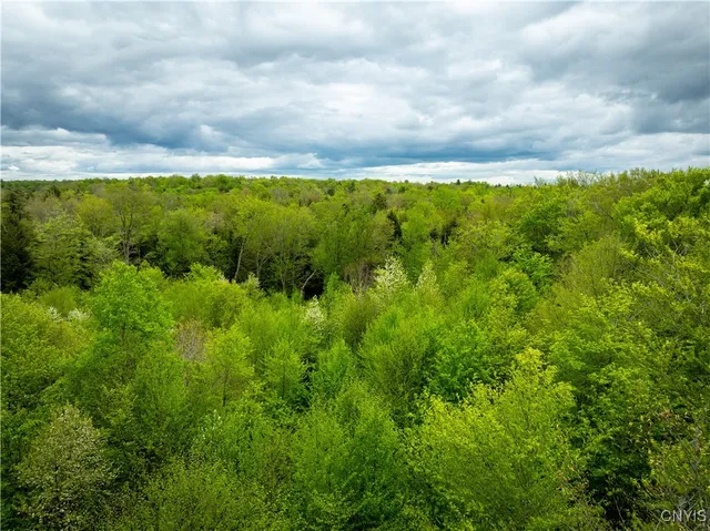 $16,000 | Lot 32 Wheelertown Road, Remsen, NY 13438