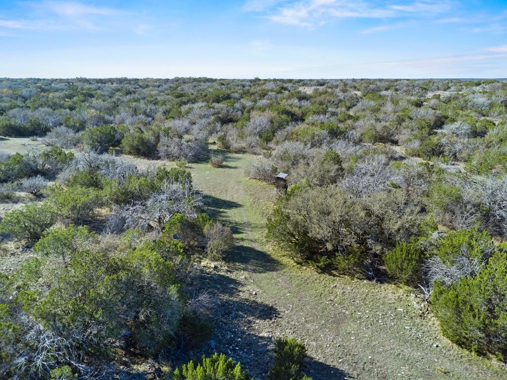 Lot 30 Sd 74230 Rocksprings, TX 78880 - Photo 1 of 15 a view of a forest with trees in the background
