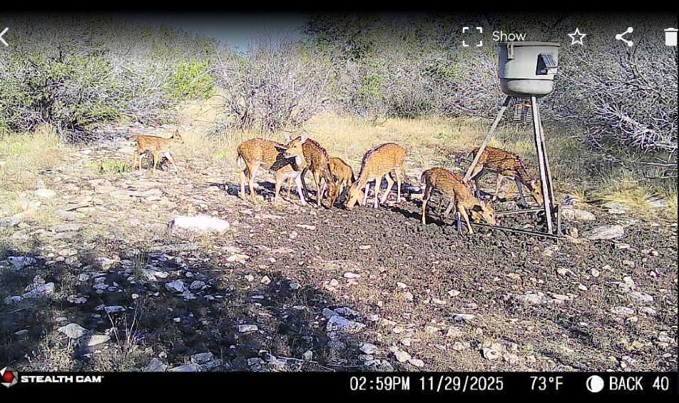 Lot 30 Sd 74230 Rocksprings, TX 78880 - Photo 15 of 15 a view of a backyard of a house